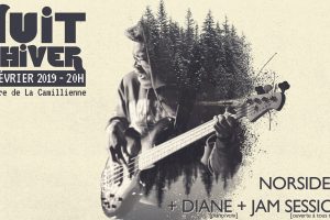Nuit d'hiver - Camillienne - paris 12