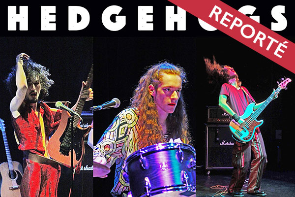 hedgehogs concert reporté