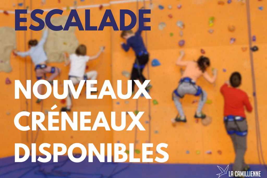 Copie de Copie de Copie de actu site vacs avril
